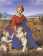 RAFFAELLO Sanzio The virgin mary  on the grass oil on canvas